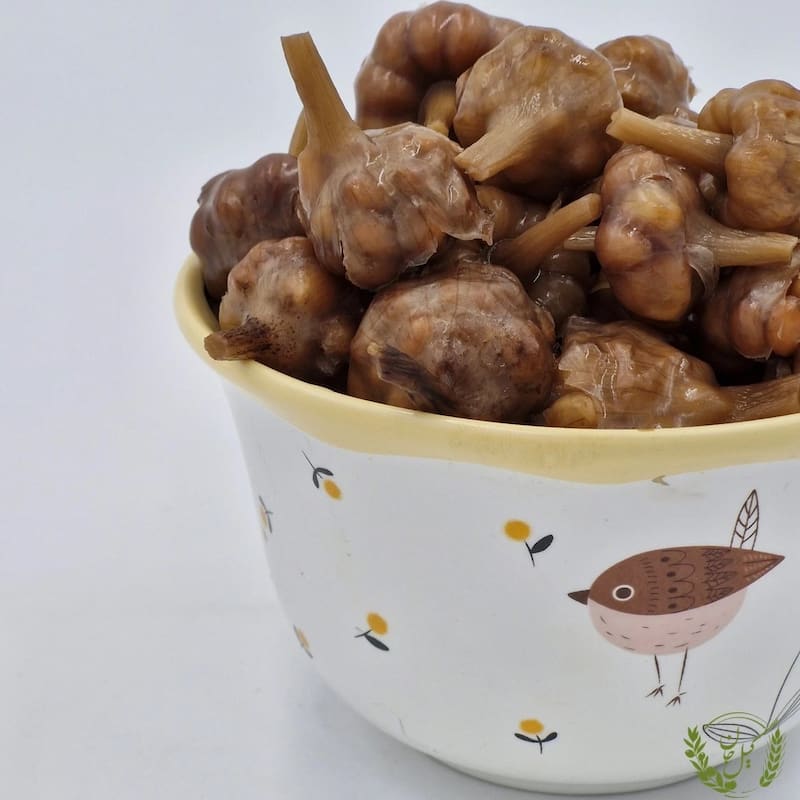 خرید سیر گل